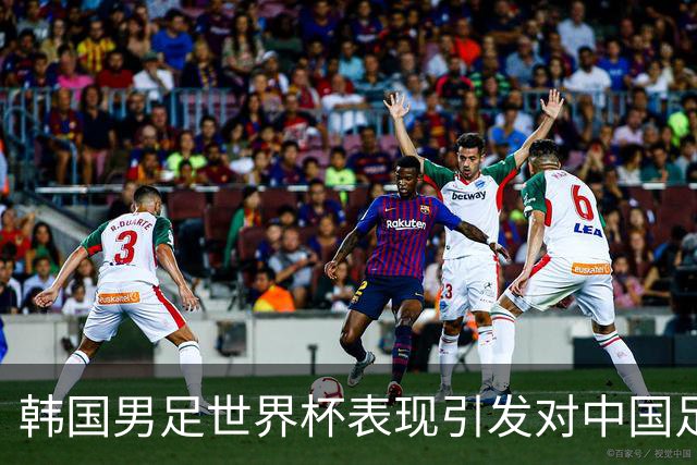 韩国男足世界杯表现引发对中国足球的深思，名宿与无证教练同根相连